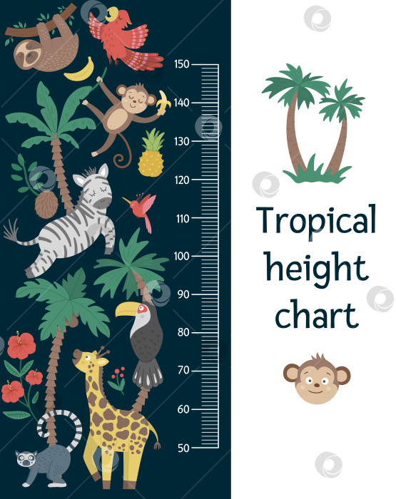 Скачать Векторная симпатичная диаграмма высоты с экзотическими животными, птицами, пальмами, листьями, цветами, фруктами. Забавное украшение стены тропической обезьяной, зеброй, лемуром и растениями. Плакат "Лето в джунглях" для детей фотосток Ozero