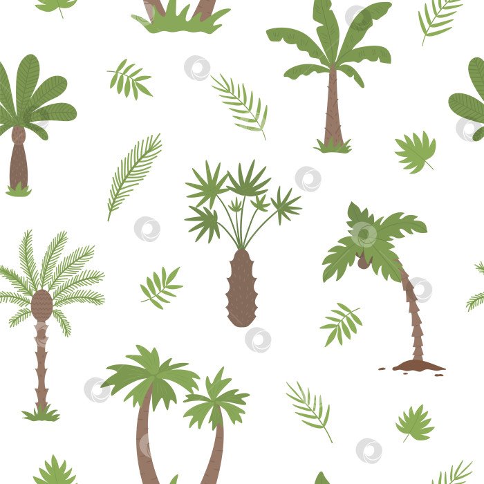 Скачать Векторный тропический бесшовный узор с пальмами. Цифровая бумага "Листва джунглей". Нарисованный от руки плоский экзотический фон. Яркая детская текстура летней зелени. фотосток Ozero