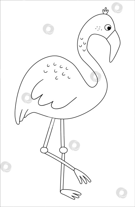 Скачать Векторный контур милого фламинго. Забавная черно-белая иллюстрация тропической экзотической птицы. Веселая раскраска для детей. Летний клип в джунглях фотосток Ozero