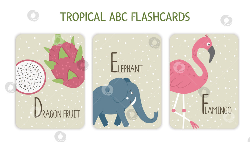 Скачать Красочные буквы алфавита D, E, F. Акустическая карточка с тропическими животными, птицами, фруктами, растениями. Милые развивающие карточки с азбукой джунглей для обучения чтению с забавными драконьими фруктами, слоном, фламинго. фотосток Ozero