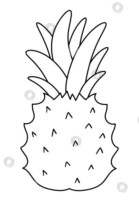Скачать Векторный контур ананаса. Забавная черно-белая иллюстрация тропических экзотических фруктов. Веселая раскраска для детей. Летний клип в джунглях фотосток Ozero