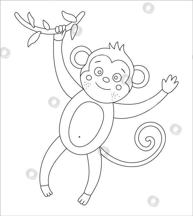 Скачать Векторная симпатичная обезьянка, висящая на ветке дерева. Забавная черно-белая иллюстрация тропического экзотического животного. Веселая раскраска для детей. Летний клип в джунглях фотосток Ozero