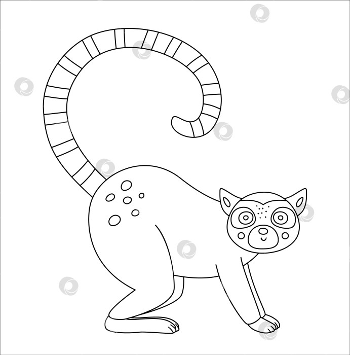 Скачать Векторный контур симпатичного лемура. Забавная черно-белая иллюстрация тропического экзотического животного. Веселая раскраска для детей. Летний клип в джунглях фотосток Ozero