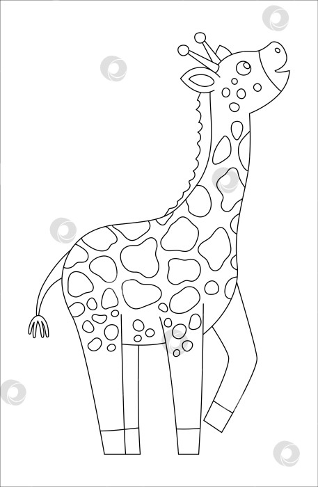 Скачать Векторный контур симпатичного жирафа. Забавная черно-белая иллюстрация тропического экзотического животного. Веселая раскраска для детей. Летний клип в джунглях фотосток Ozero