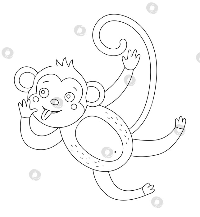 Скачать Векторная симпатичная обезьянка с высунутым контуром языка. Забавная черно-белая иллюстрация тропического экзотического животного. Веселая раскраска для детей. Летний клип в джунглях фотосток Ozero
