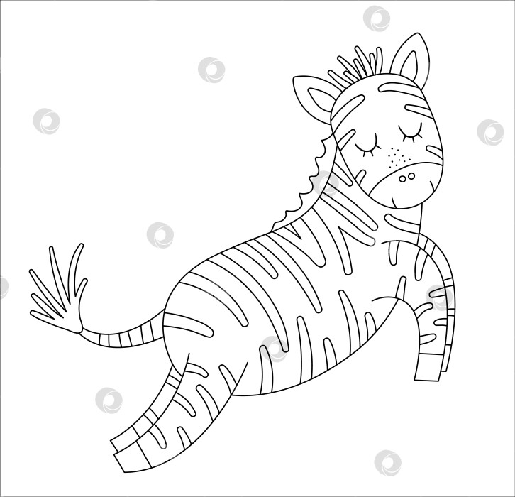 Скачать Векторный симпатичный контур зебры. Забавная черно-белая иллюстрация тропического экзотического животного. Веселая раскраска для детей. Летний клип в джунглях фотосток Ozero