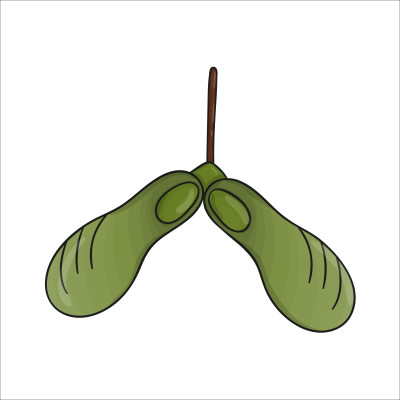 [object Object] undefined