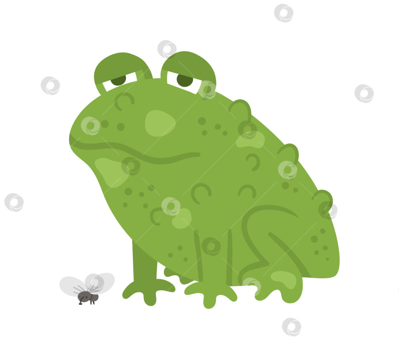 Скачать Симпатичная векторная сидящая зеленая жаба с мухой. Значок персонажа Хэллоуина. Осенняя иллюстрация в канун дня всех святых со страшным животным. Дизайн вывески для вечеринки в честь Самайна для детей. фотосток Ozero