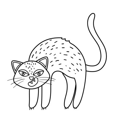 [object Object] undefined