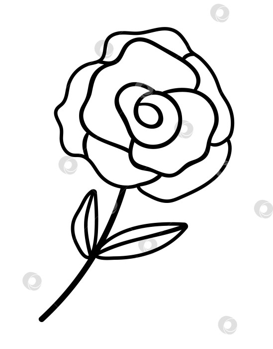 Скачать Векторная черно-белая роза. Контурный символ дня Святого Валентина. Симпатичный значок линии растений. Игривая цветочная иллюстрация или раскраска фотосток Ozero