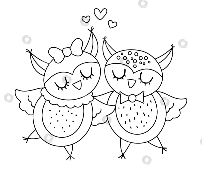 Скачать Векторная симпатичная пара черно-белых сов. Иллюстрация любящей пары. Любовные отношения или концепция семьи. Романтические птицы, изолированные на белом фоне. Забавные персонажи из серии "День святого Валентина". фотосток Ozero