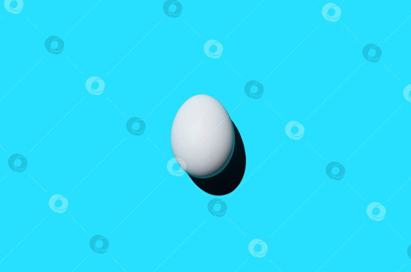 Скачать Одиночное яйцо на синем фоне, вид сверху. Художественная фотография в стиле минимализм, дизайн, копировальное пространство. Концепция новой жизни, Пасхальный праздник фотосток Ozero