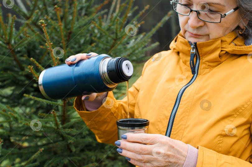 Скачать Пожилая женщина разливает горячий чай в лесу на открытом воздухе. Портрет пожилой женщины, прогуливающейся в холодную погоду. фотосток Ozero