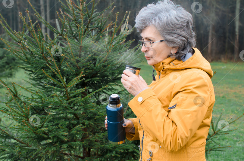 Скачать Пожилая женщина пьет горячий напиток на улице в лесу. Портрет пожилой женщины, дующей на кружку с чаем, от чашки поднимается пар. Концептуальный поход, согревающий напиток в холодную погоду. фотосток Ozero