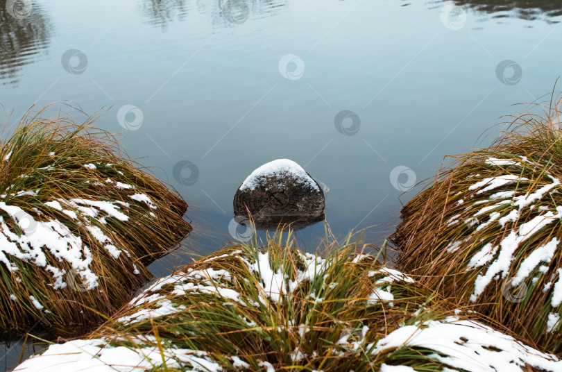 Скачать Пень и куст зеленой травы, покрытые снегом, посреди озера фотосток Ozero