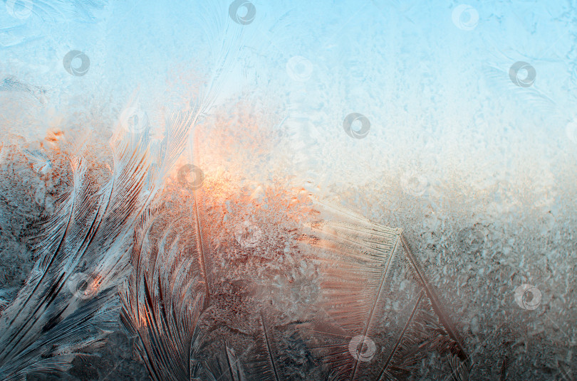 Крупным планом морозные узоры на окне. Текстура льда на стекле. Холодное  утро, замерзшее окно - Ozero - российский фотосток