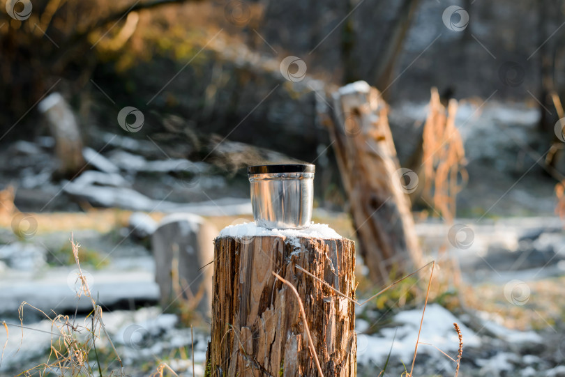 Скачать Стальная чашка, стоящая на пне дерева. Кружка-термос с горячим напитком, солнечный зимний лес. фотосток Ozero
