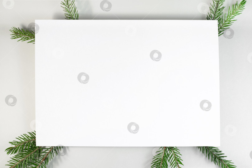 Скачать Рождественская композиция. Пустая открытка, ветки рождественской елки на белом фоне, лежит ровно. Зимний фон, вид сверху, место для копирования фотосток Ozero