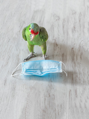 [object Object] undefined