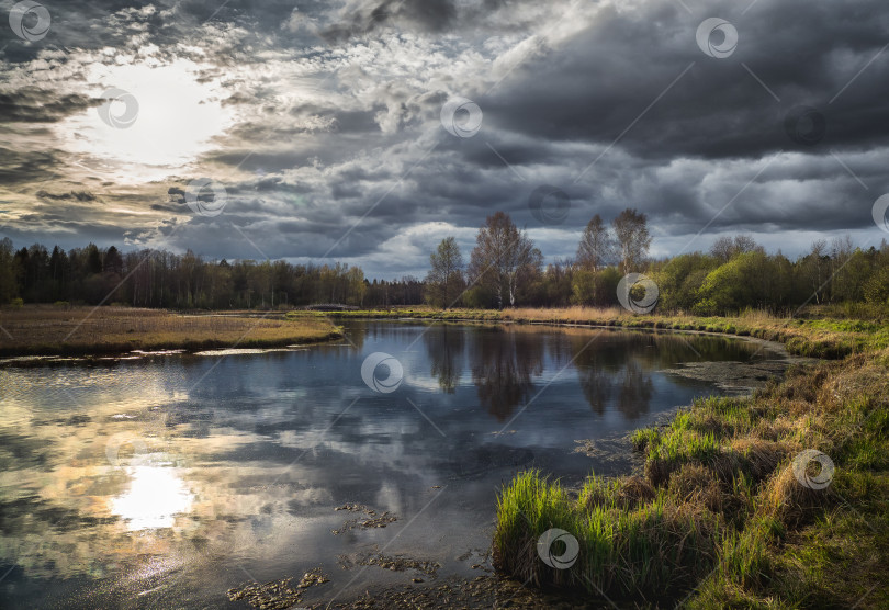 Скачать Русский весенний пейзаж с солнцем и отражениями деревьев в озере фотосток Ozero