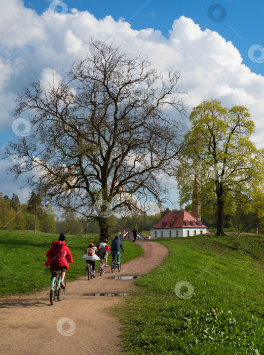 Скачать Весенние велопрогулки всей семьей на природе. Семья велосипедистов на прогулке в парке. фотосток Ozero