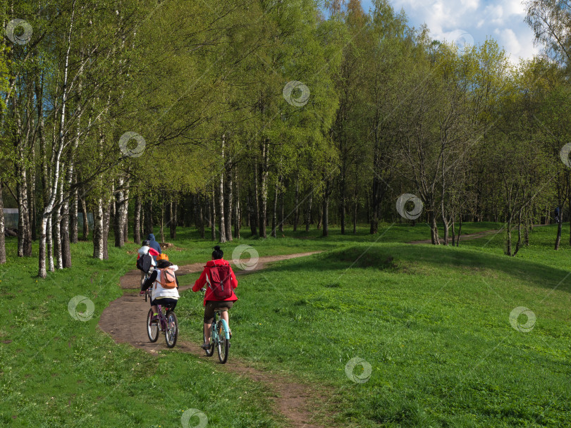 Скачать Весенние велопрогулки всей семьей на природе. Семья велосипедистов на прогулке в парке. фотосток Ozero