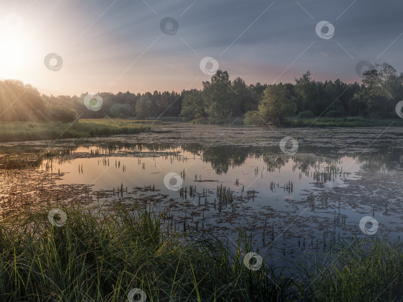 Скачать Прекрасный закат с солнечными лучами над северным болотом фотосток Ozero