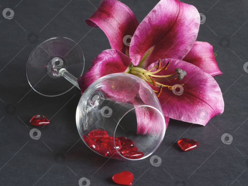 Скачать Крупный план цветка красной лилии в стеклянной вазе на черном фоне фотосток Ozero