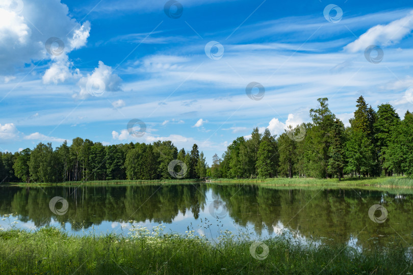 Скачать Летний яркий пейзаж с озером, зеленью и облаками. фотосток Ozero