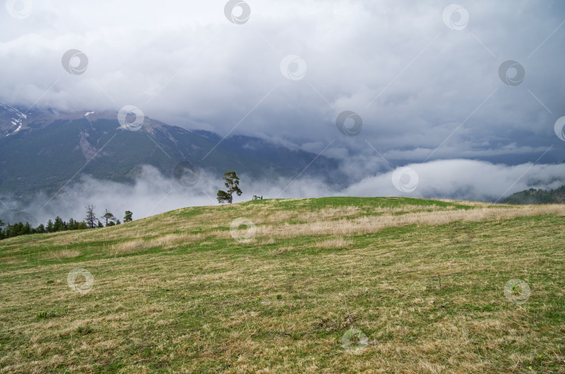 Скачать Низкие облака в горах. фотосток Ozero