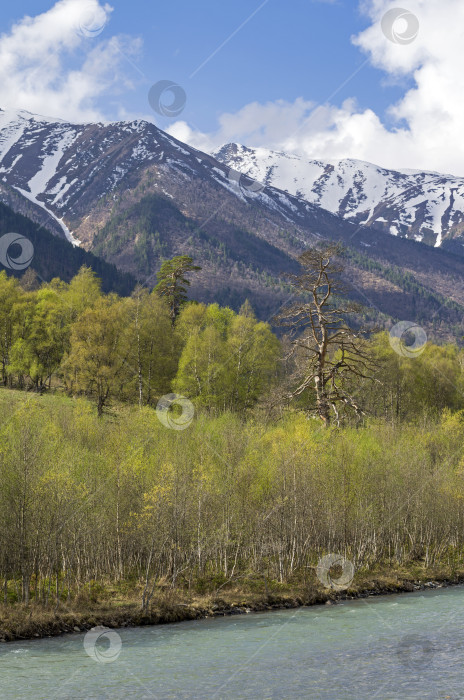 Скачать Весна в горах Кавказа. фотосток Ozero