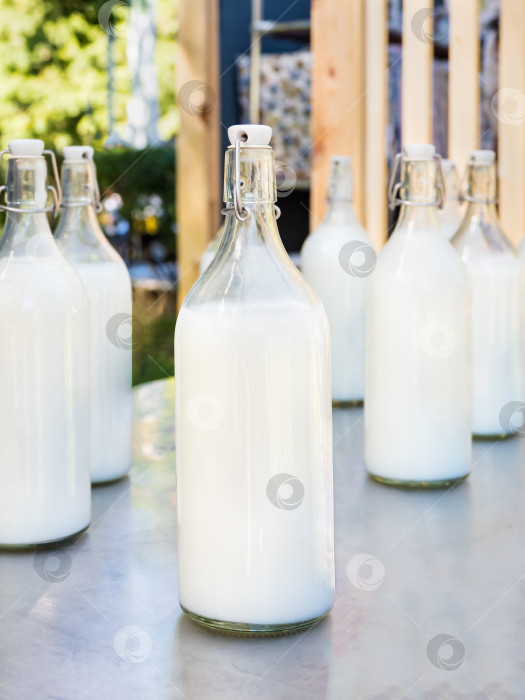 Скачать Молоко в больших стеклянных бутылках на сером фоне. фотосток Ozero