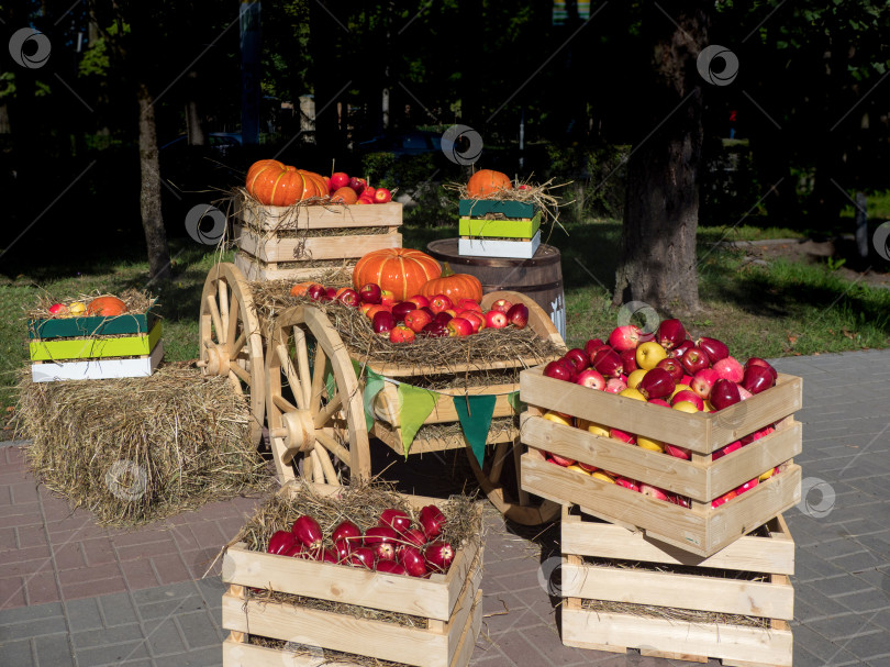 Скачать Тележка с коробками фруктов и овощей на сельскохозяйственной ярмарке. фотосток Ozero