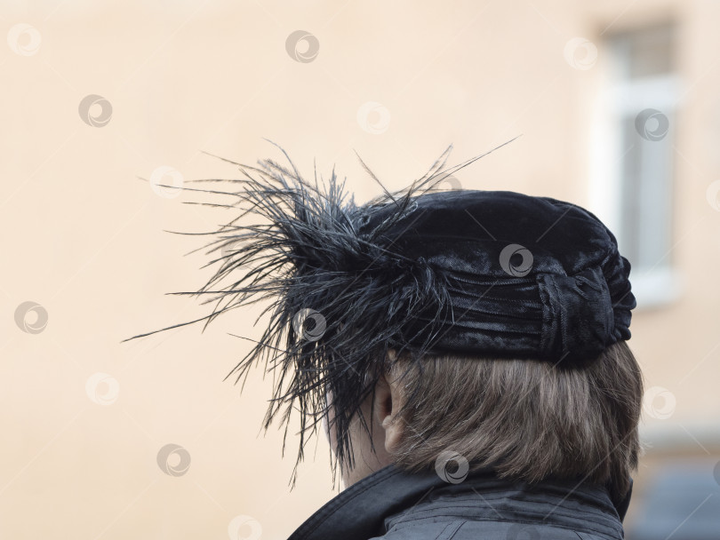 Скачать Вид сзади на женщину в черной шляпе с перьями на голове на открытом воздухе фотосток Ozero