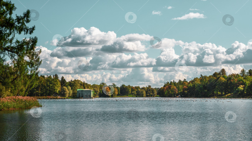 Скачать Яркий осенний пейзаж с озером в парке. Гатчина. Россия фотосток Ozero