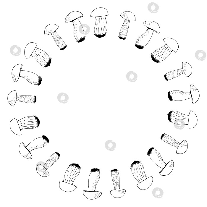 Скачать Круглая рамка с черно-белыми лесными грибами на белом фоне. Векторное изображение. фотосток Ozero