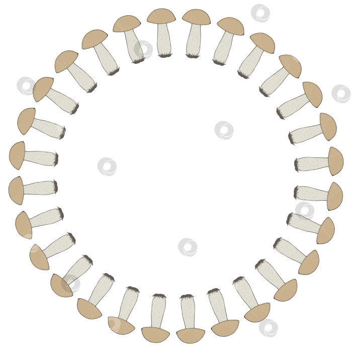 Скачать Круглая рамка с большими лесными грибами на белом фоне. Векторное изображение. фотосток Ozero