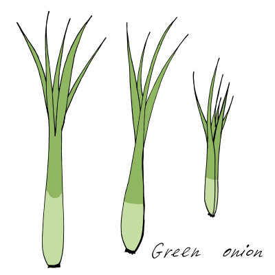 [object Object] undefined