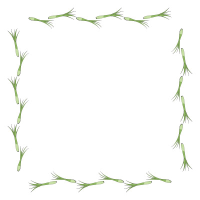 [object Object] undefined