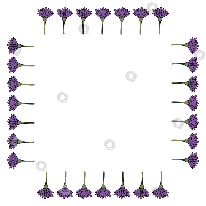 Скачать Квадратная рамка с вертикальными фиолетовыми цветами на белом фоне. Векторное изображение. фотосток Ozero