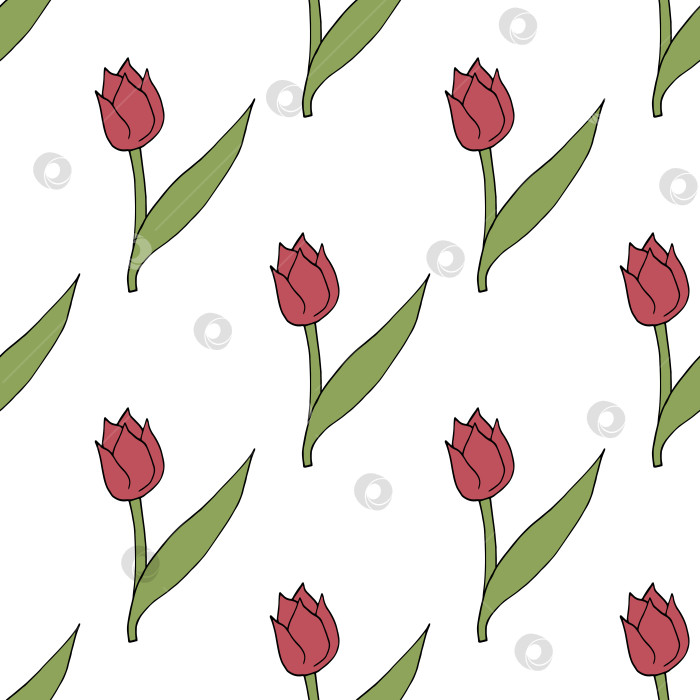Скачать Бесшовный узор с милыми ярко-розовыми тюльпанами на белом фоне. Векторное изображение. фотосток Ozero