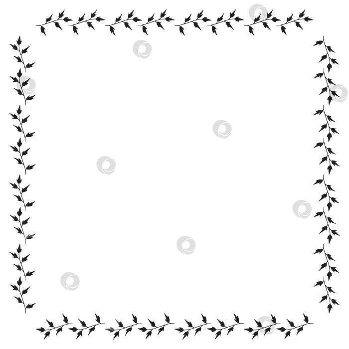 Скачать Квадратная рамка с простыми черными ветвями на белом фоне. Векторное изображение. фотосток Ozero