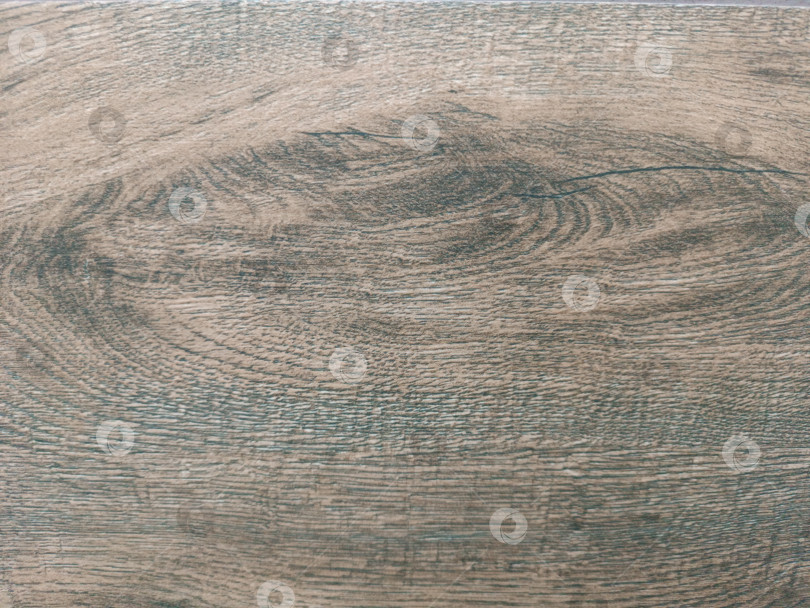 Скачать Деревянная доска ,текстура дерева фотосток Ozero