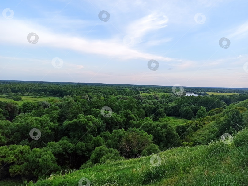 Скачать зеленый летний пейзаж, зеленый лес , поле, природа фотосток Ozero