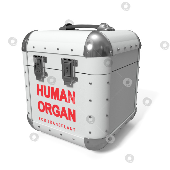 Скачать контейнер для транспортировки человеческих органов фотосток Ozero