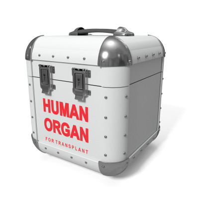 [object Object] undefined