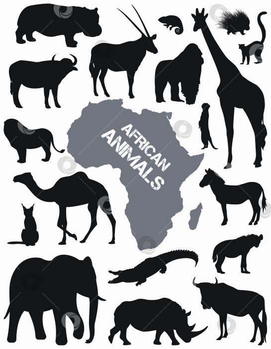 Скачать Коллекция с чёрными силуэтами африканских животных. Вектор фотосток Ozero