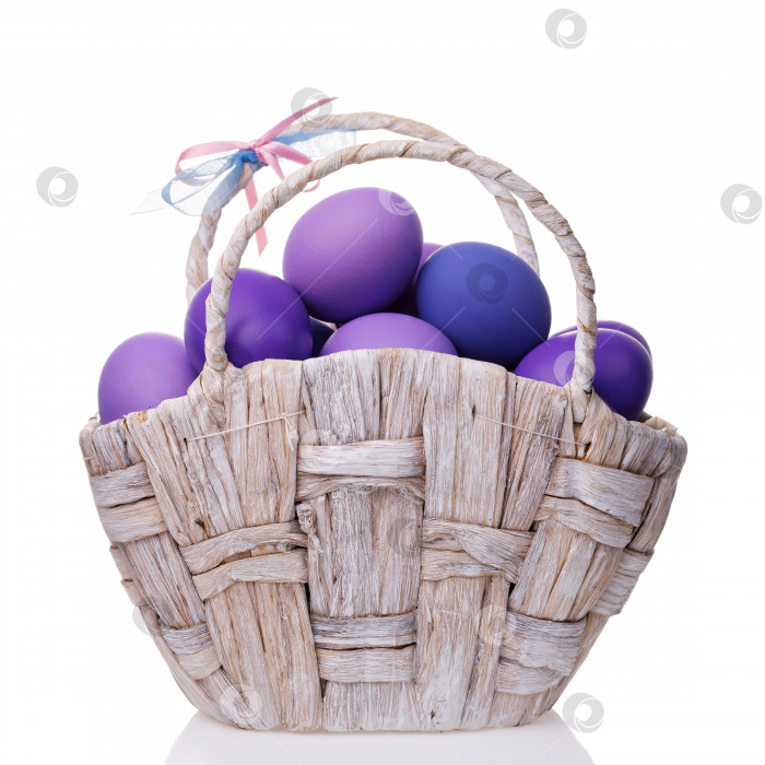 Скачать Корзина, полная яиц, окрашенных в фиолетовые тона, выделенных на белом фоне фотосток Ozero