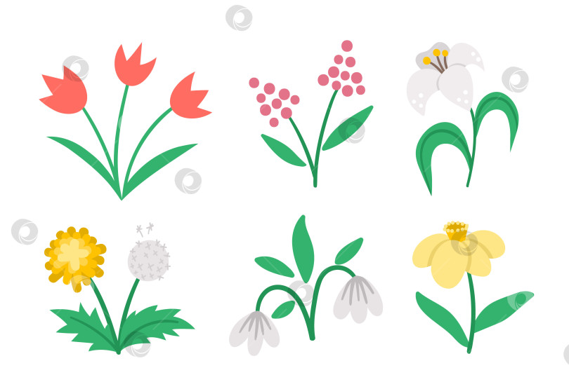 Скачать Набор векторных симпатичных плоских иконок весенних цветов. Иллюстрация первых цветущих растений. Коллекция цветочных клипартов. Тюльпаны, одуванчик, подснежник, нарцисс, лилия, выделенные на белом фоне. фотосток Ozero