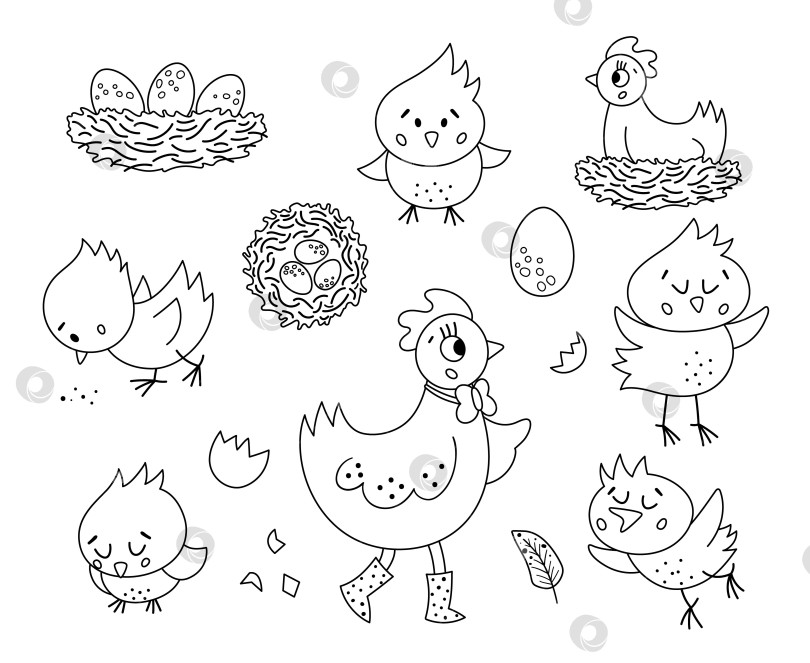 Скачать Векторный черно-белый набор с милой курицей, маленькими цыплятами, яйцами, гнездом. Весенняя или пасхальная забавная контурная иллюстрация или раскраска для детей. Набор иконок для фермерских птиц фотосток Ozero